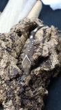 White Collar Sarasinorum Gecko SG01