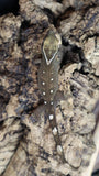 White Collar Sarasinorum Gecko SG04