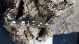 White Collar Sarasinorum Gecko SG07