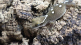 White Collar Sarasinorum Gecko SG07