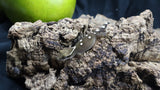 White Collar Sarasinorum Gecko SG07