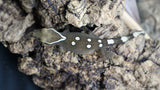 White Collar Sarasinorum Gecko SG07