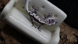 Axanthic Lilly White Poss Female Crested Gecko CGAX05