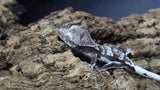 Axanthic Lilly White Poss Female Crested Gecko CGAX04