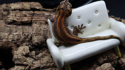 Orange/Red Pin Stripe Gargoyle Male GG278