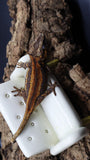 Orange/Red Pin Stripe Gargoyle Male GG278