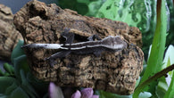 Full Pin Axanthic Lilly White Poss Female Crested Gecko CGAX07