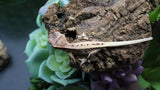 Tri Color LW 100% HeT Axantnic Crested Gecko AxHet#01