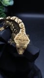 Dark Base TriColor Female Crestie Gecko CG281