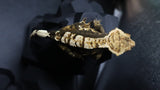 Dark Base TriColor Female Crestie Gecko CG281