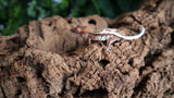 Frappuccino Crested Poss Female FRAP15