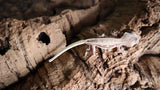 100 HET Lily White Axantic Crested Gecko AXHET03