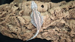 Orange Stripe Female gargoyle GG288