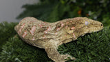 LB471- Leachianus Gecko