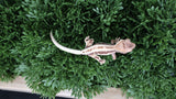 Frap19- Frappuccino Crested Gecko